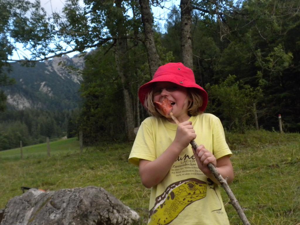 シュピタル・アム・ピュールン Bio-Urlaubshof Dansbachヴィラ エクステリア 写真